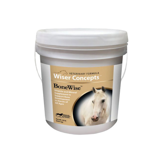Wiser Concepts BoneWise Vitamin & Mineral Supplement
