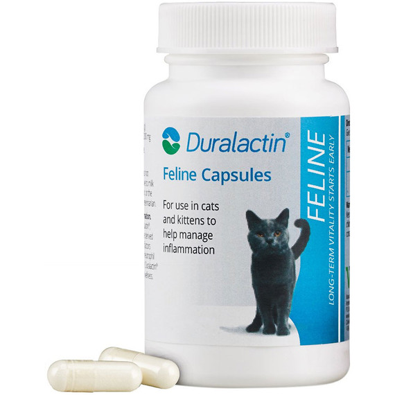 Duralactin Feline