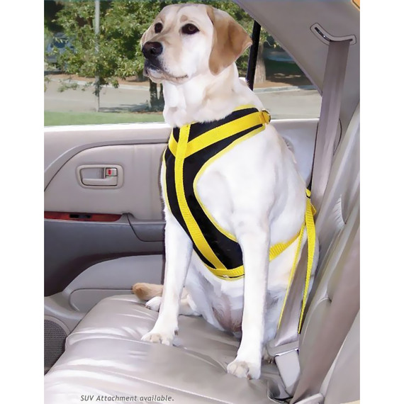 Canine Auto Safety Harness - Medium