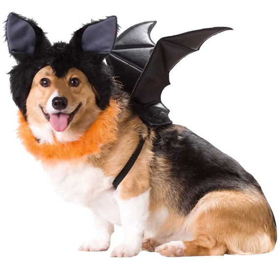 Animal Planets Bat Dog Costume - Medium
