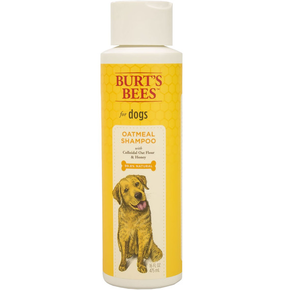 Burt's Bees Oatmeal Shampoo for Dogs (16 fl oz)