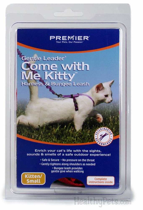 Come with Me Kitty Harness & Bungee Leash - SMALL / ROYAL BLUE Come with Me Kitty Harness & Bungee Leash - SMALL / ROYAL BLUE