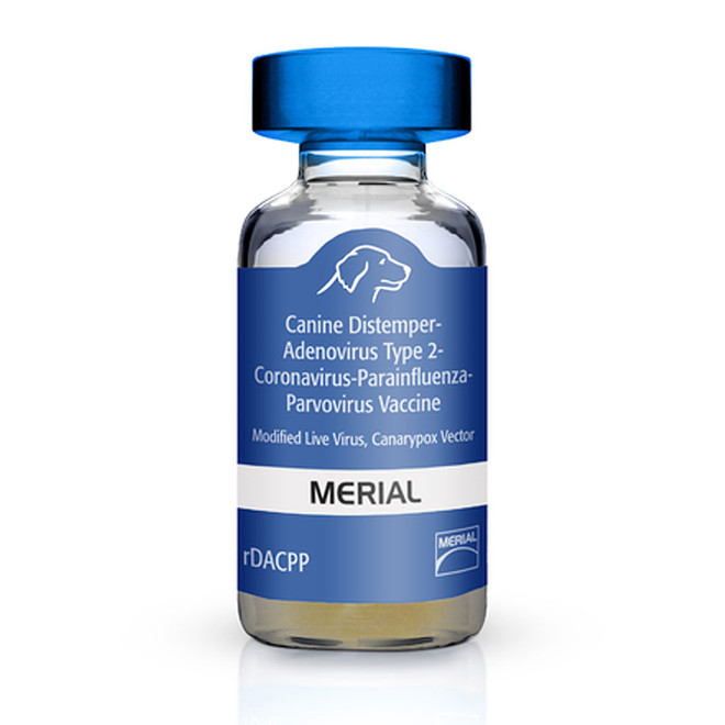 Recombitek for Dogs - C4/CV (rDAPP), 25x1 dose - [Vaccine]