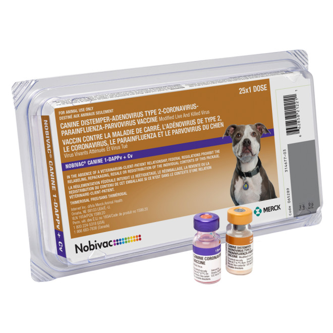 Nobivac Canine 1-DAPPv+Cv (25 Doses)