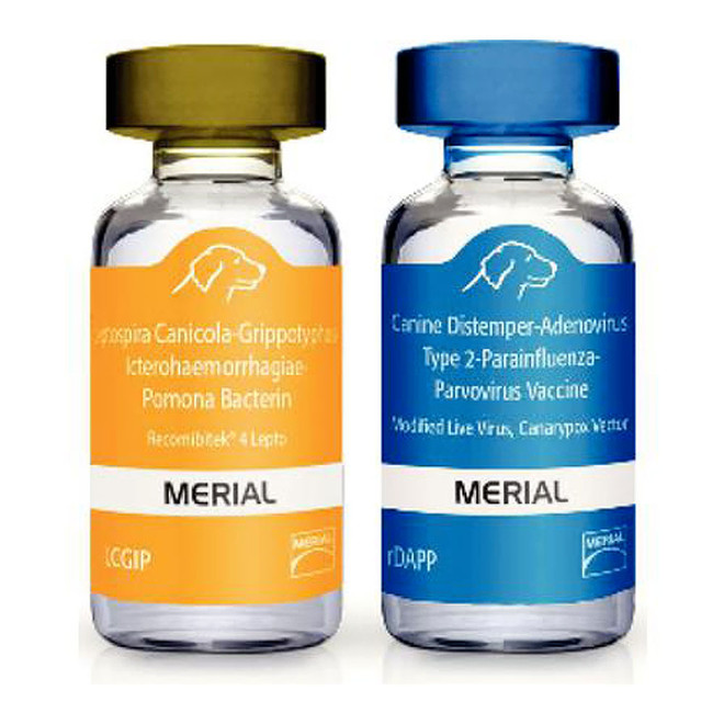 Recombitek for Dogs - C8 (rDAPP-LCGIP), 25x1 dose - [Vaccine]