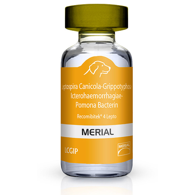 Recombitek for Dogs - 4 Lepto (LCGIP), 50x1 dose - [Vaccine]