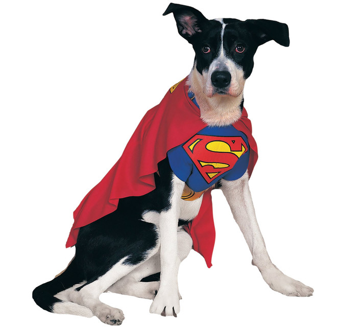 DC Costumes