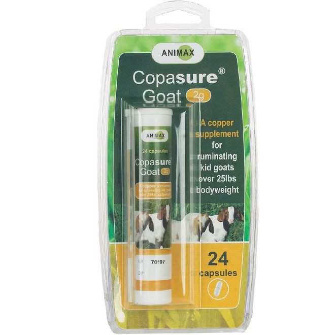 Copasure Bolus Goat 2gm (24 count)
