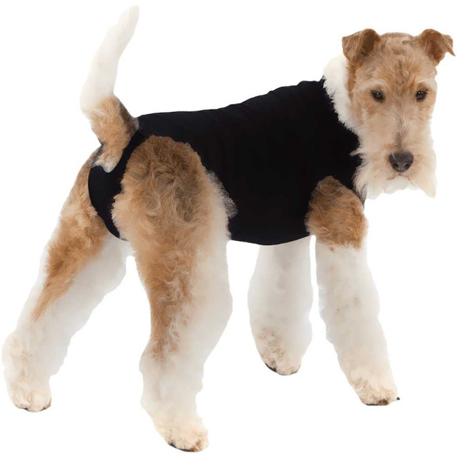 Suitical Recovery Suit for Dogs Black - Medium