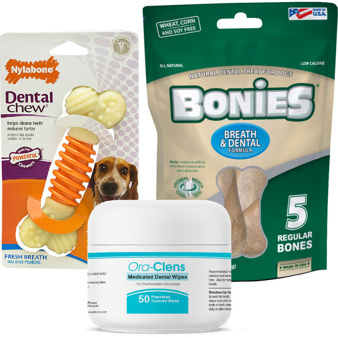 Dental Kit for Dogs