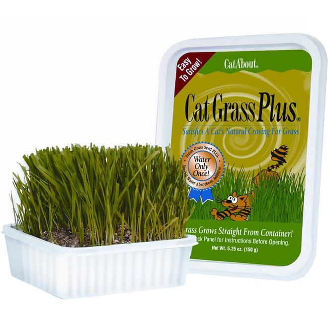 Miracle Care Cat A'bout Cat Grass Plus Tub (150 grams)