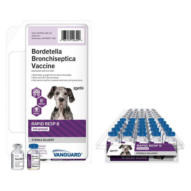 Vanguard Intranasal Rapid Resp B Bordetella Bronchiseptica Vaccine, Avirulent Live Culture, 0.5mL, 1 vial