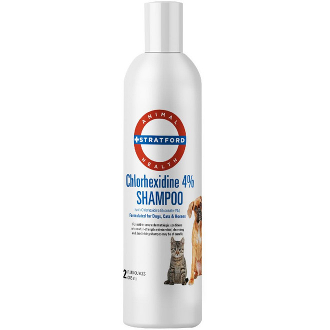 Stratford Chlorhexidine 4% Shampoo (12 oz)