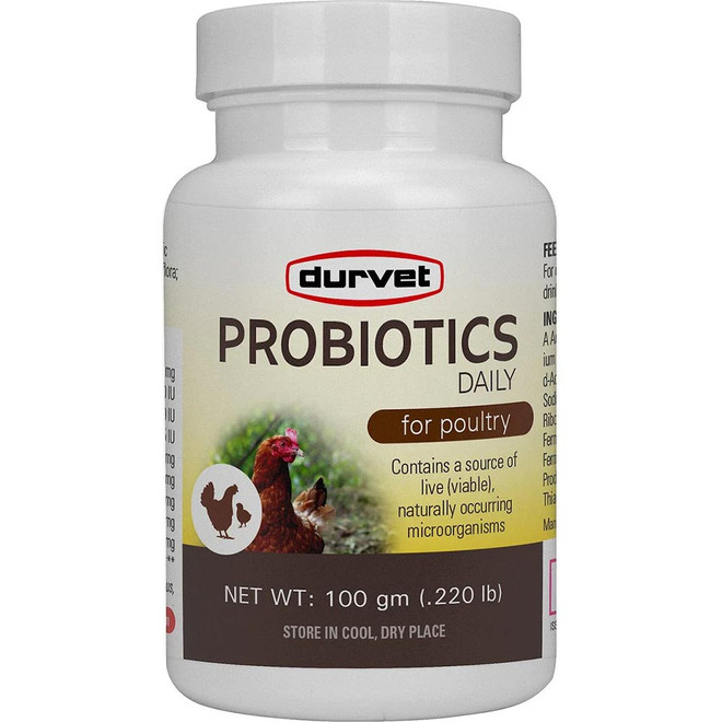 Durvet Probiotics Daily for Poultry (100 gm) - [Gut Health]