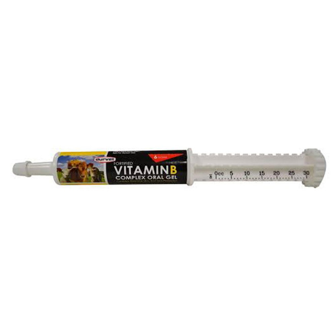 Durvet Fortified Vitamin B Complex Oral Gel (30 mL) - [Supplement]