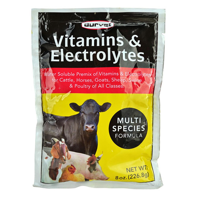 Durvet Vitamins & Electrolytes for Multi Species (8 oz) - [Supplement]