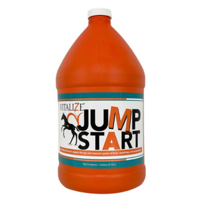 Durvet Vitalize Jump Start for Horses (1 Gallon) - [Supplement]