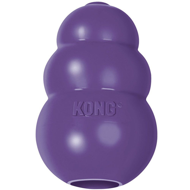 KONG Senior