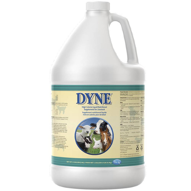 Dyne High Calorie Liquid Nutritional Supplement for Livestock (1 Gallon)