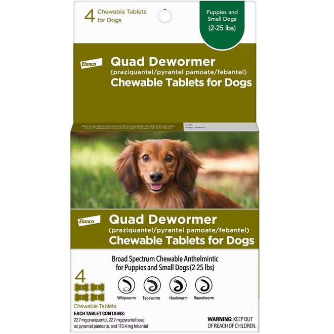 Bayer Quad Dewormer for Dogs