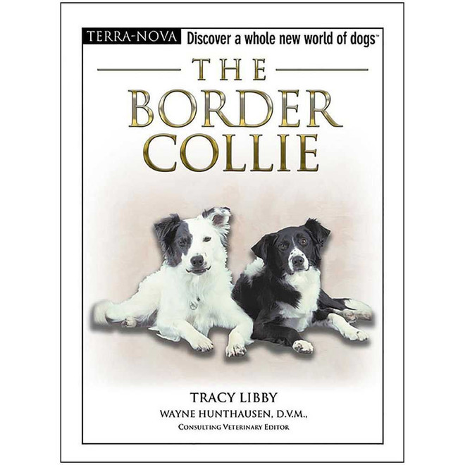 The Border Collie - FREE DVD Inside