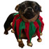 Pet Works Holiday Jester Collar with Bells - Small