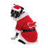 Santa Paws Dog Costume - XSmall