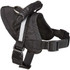 Guardian Gear Excursion Dog Harness - Black (36-46In)