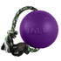 Jolly Pets Romp-n-Roll (8 in.) - Purple Jolly Pets Romp-n-Roll (8 in.) - Purple