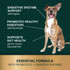 VetriScience Acetylator - For Cats and Dogs (120 capsules)