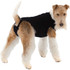 Suitical Recovery Suit for Dogs Black - Medium