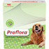 Proflora Probiotic Powder for Cats & Dogs