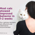 Comfort Zone Calming Pheromone Collar for Cats, 2-pack