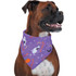 Halloween Bandana