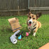 Otis & Claude Dog Toy & Gift Sets