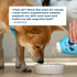 WellFURst Wild Alaska Omega-3 Salmon Oil Skin & Coat Health Supplement for Dogs, 18-fl oz bottle