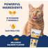 Under The Weather READY CAL PLUS W ELCTRLYTS CAT 2.5oz