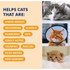 Under The Weather READY CAL PLUS W ELCTRLYTS CAT 2.5oz