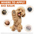 Dermoscent Bio Balm - Natural, Organic, Healing Dog Paw Balm | Skin & Paw Soother For Dogs With Dry, Cracked, & Rough Paws (50 ml)