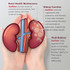 Azoflora Kidney Support Soft Chews