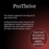 Pro-Thrive (12 oz)