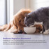 FloraCare G.I. for Dogs & Cats (60 cc)