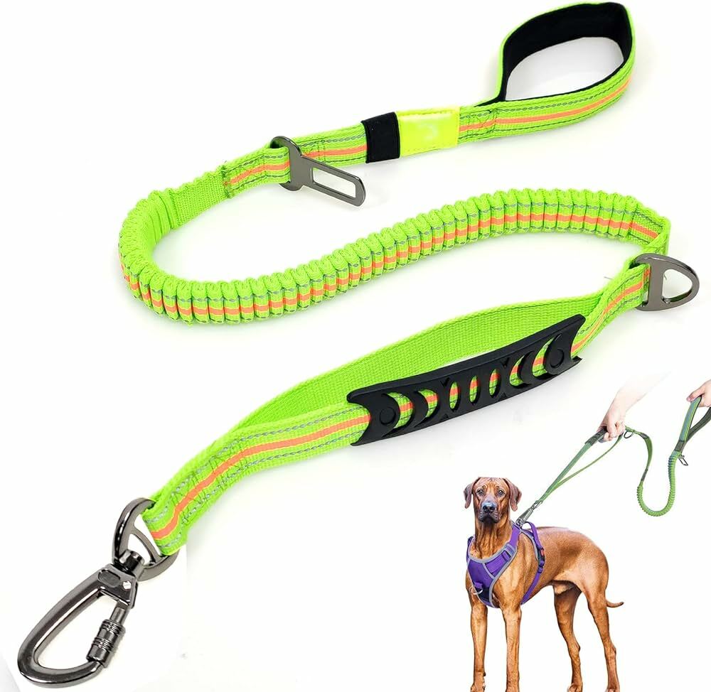 Dog Leashes