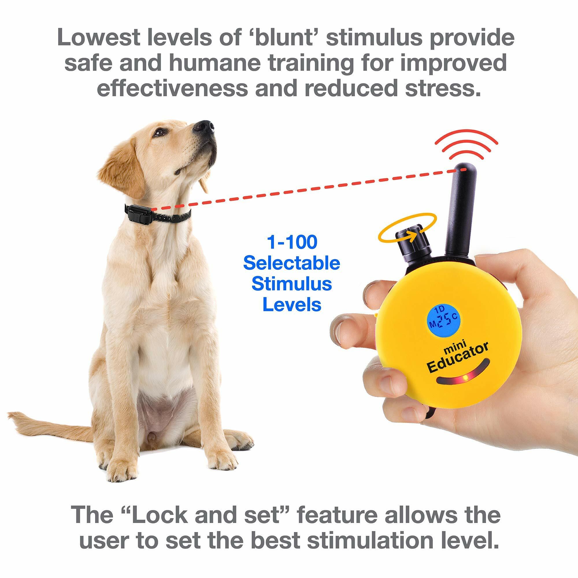 Training & Tech Collars