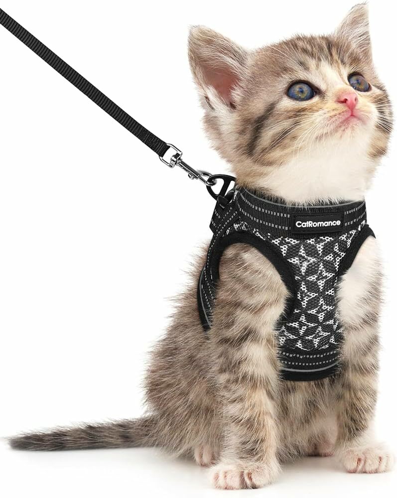 Cat Harnesses