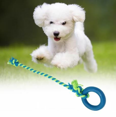Rope & Tug Toys