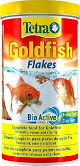 Goldfish