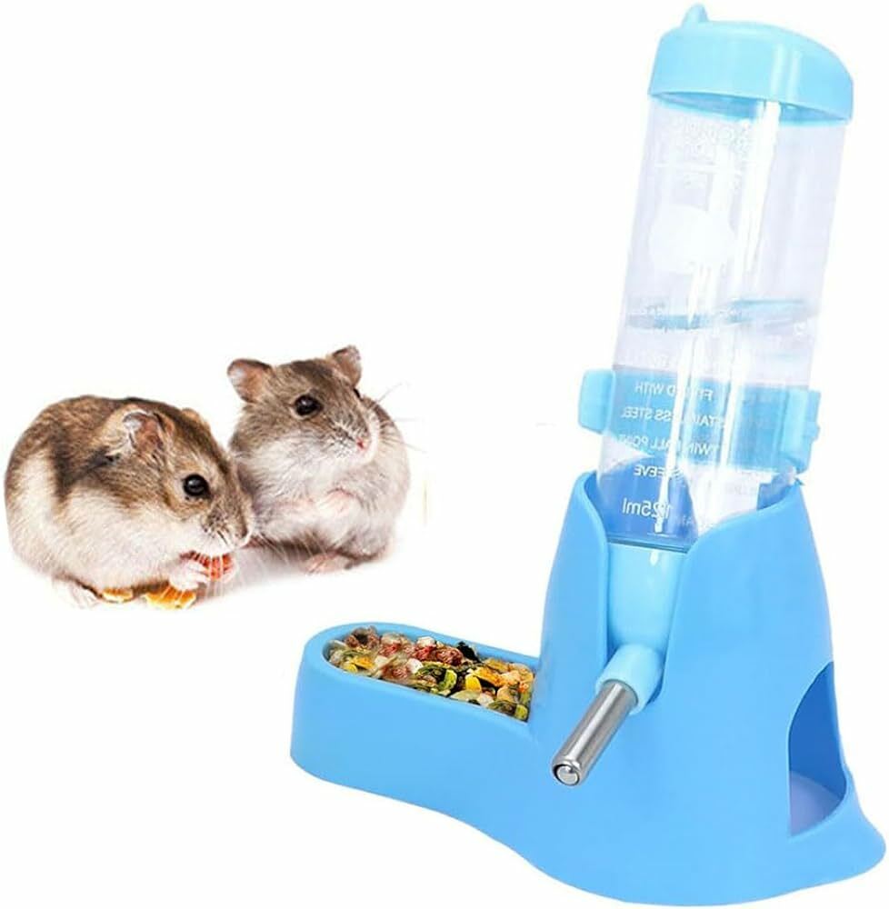 Water Bottle & Feeders