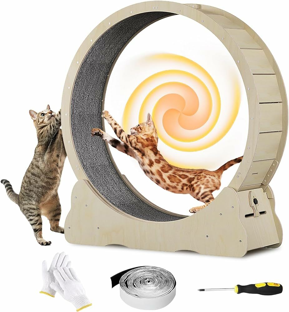 Pet Treadmill