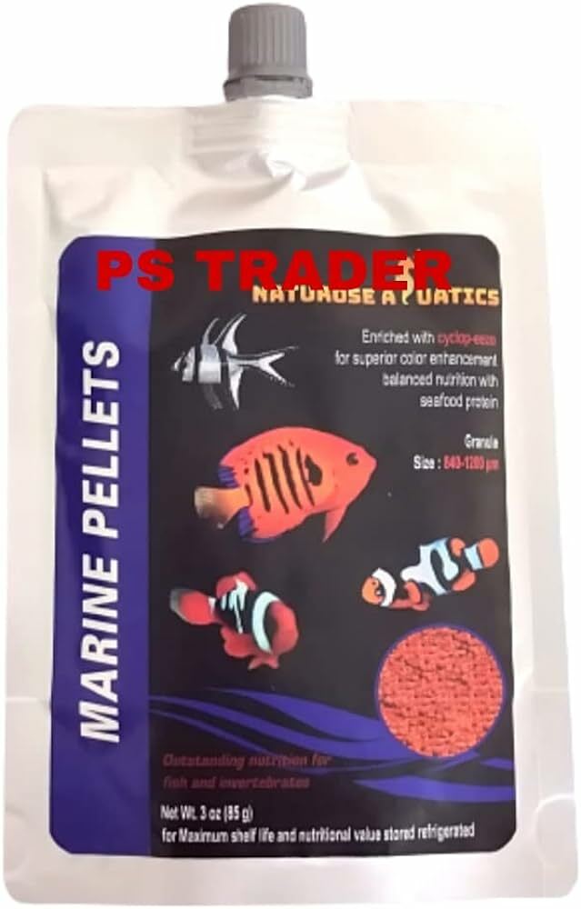 Marine Invertebrate